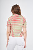 Polo Yaka Çizgili T-shirt
