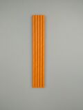 PİPET 25'Lİ TURUNCU 20CM