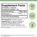 Boswellia Extract 1,000 mg 240 Kapsül