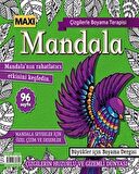 Maxi Mandala Çizgilerle Boyama Terapisi 9