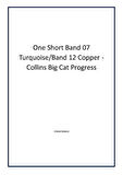 One Short Band 07 Turquoise/Band 12 Copper - Collins Big Cat Progress - Author