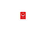The Naked Diplomat: Understanding Power And Politics İn The Digital Age - Tom Fletcher