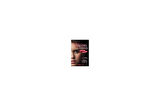 Vampire Diaries: Stefan's Diaries 3: The Craving - L. J. Smith
