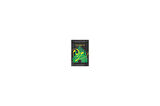 The End Of Oz (Dorothy Must Die 4) - Danielle Paige