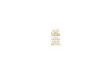 Rising Strong - Brene Brown