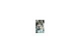 The Rose Society (The Young Elites 2) - Marie Lu