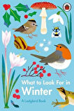 What to Look For in Winter - Elizabeth Jenner
