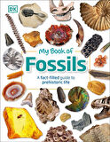 My Book of Fossils - My Book Of - Dean R. Lomax