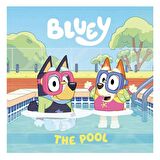 Ladybird Bluey - The Pool
