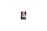 Angel (Maximum Ride 7) - James Patterson