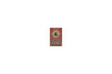 Young Sherlock Holmes 2: Red Leech - Andrew Lane