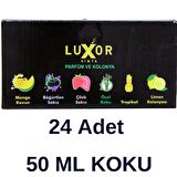 Luxor 24 Adet 50 Ml Ev & Oto Koku Seti Özel Kutulu