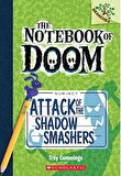 Attack of the Shadow Smashers: A Branches Book (Th