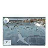 Atlas of Ocean Adventures