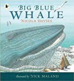 Big Blue Whale - Nicola Davies