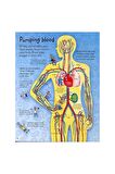 The Usborne See Inside Your Body