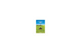 Small Steps - Louis Sachar