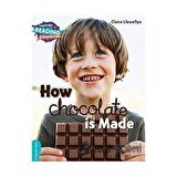 How Chocolate is Made