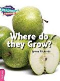 Cıe: Cra Pınk B Where Do They Grow?
