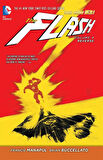 The Flash Vol. 4: Reverse (The New 52) - Francis Manapul
