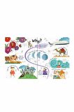 The Usborne Lift The Flap Questions & Answers