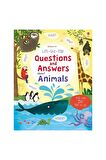 Lift-The-Flap Questions and Answer About Animals