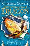 How to Train Your Dragon: How to Fight a Dragon's Fury - Cressida Cowell