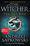 The Witcher Last Wish: Introducing the Witcher