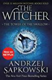 The Tower of the Swallow: Witcher 4