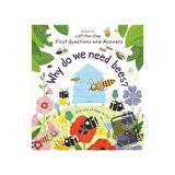 First Questions and Answers: Why do we need bees?