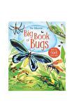 The Usborne Big Book Of Bugs