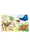 The Usborne Big Book Of Bugs