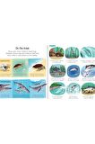 My First Seas and Oceans Book