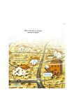 Look Inside Wild Weather