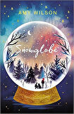 Snowglobe - Amy Wilson