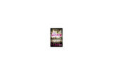 The Mister - E L James