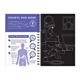 Imagine That Human Body - Scratch, Discover and Learn