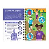 Imagine That Human Body - Scratch, Discover and Learn