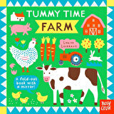 Farm A Fold-Out Book With a Mirror! - Louise Lockhart