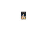 The House of Mirth - Edith Wharton