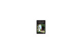 The Secret Garden - Frances Hodgson Burnett