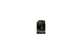 Voice of the Gods (Age of the Five 3) - Trudi Canavan