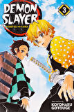 Demon Slayer: Kimetsu no Yaiba, Vol. 3