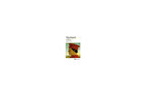 Le Prince - Nicolas Machiavel
