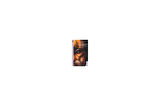 Le Trone De Fer 11 - George R. R. Martin