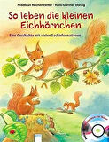 So leben die kleinen Eichhörnchern - Friederun Reichenstetter