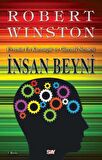 İnsan Beyni