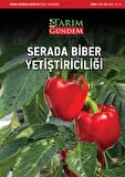 Serada Biber Yetiştiriciliği