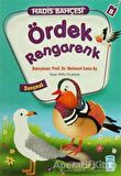 Hadis Bahçesi 8 : Ördek Rengarenk Danışmak