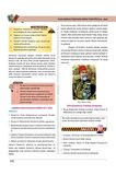 11. Sınıf Tüm Dersler Konu Anlatımlı Eşit Ağırlık Sözel